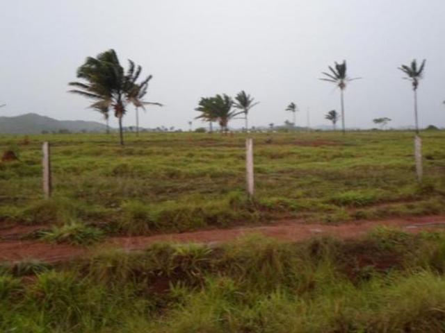 Sítio e chácara venda em Região Geográfica Imediata de Confresa - Vila Rica, São José do Xingu