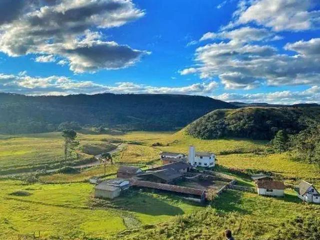 Fazenda venda em Região Geográfica Imediata de Vacaria, São José dos Ausentes