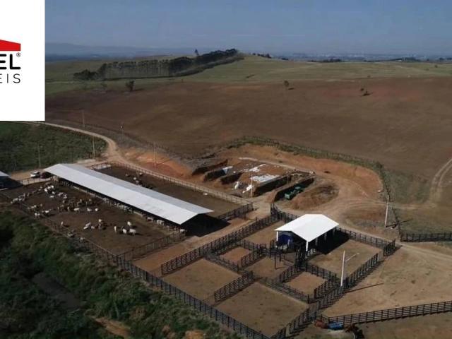 Fazenda venda em Vila Veneziani, São José dos Campos