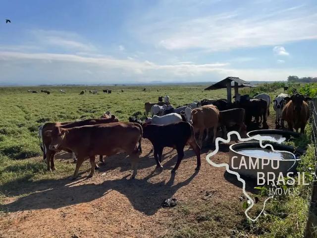 Fazenda venda em Região Imediata de São José dos Campos, Região Metropolitana do Vale do Paraíba e Litoral Norte