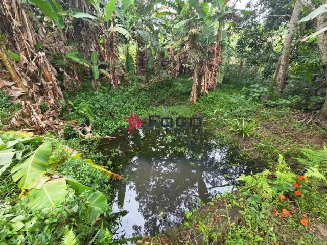 Fazenda venda em Região Imediata de São José dos Campos, Região Metropolitana do Vale do Paraíba e Litoral Norte
