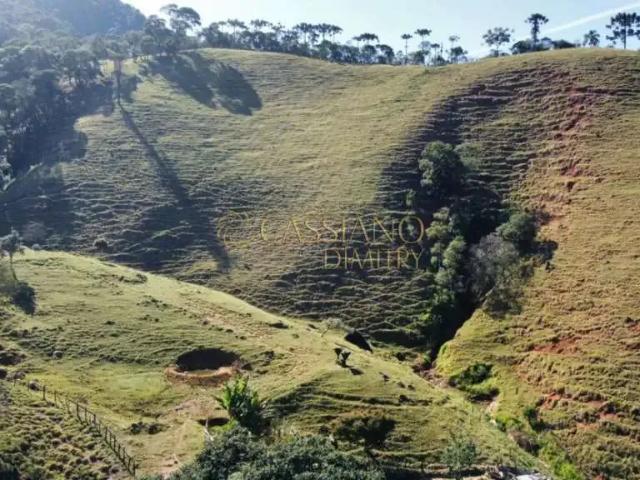 Fazenda venda em Vila São Sebastião, Monteiro Lobato