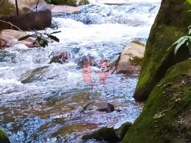 Fazenda venda em Região Imediata de São José dos Campos, Região Metropolitana do Vale do Paraíba e Litoral Norte