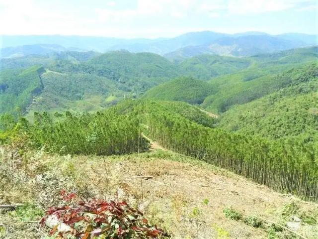 Fazenda venda em São José dos Campos, Região Geográfica Intermediária de São José dos Campos