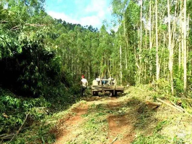 Fazenda venda em São José dos Campos, Região Geográfica Intermediária de São José dos Campos