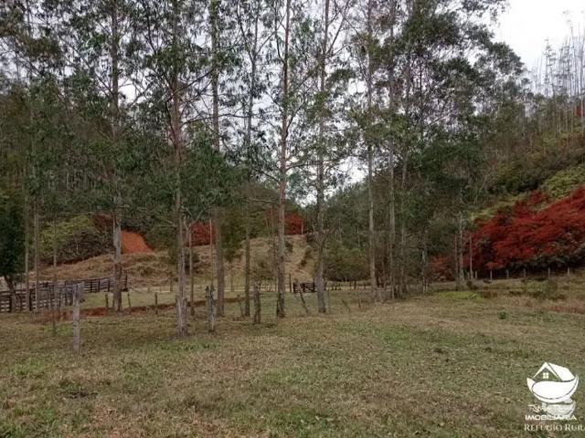Fazenda venda em São José dos Campos, Região Geográfica Intermediária de São José dos Campos