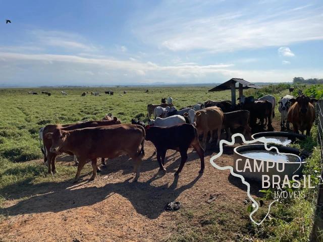 Fazenda venda em São José dos Campos