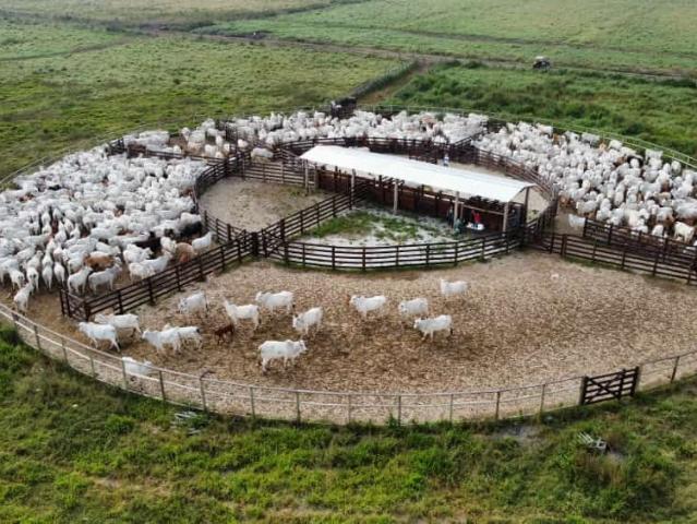 Fazenda venda em Região Imediata de São José dos Campos, Região Metropolitana do Vale do Paraíba e Litoral Norte