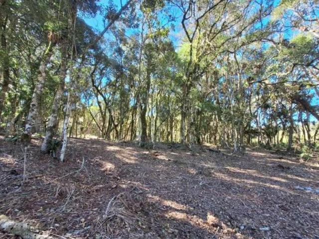 Sítio e chácara venda em Região Geográfica Imediata de Curitiba, Região Metropolitana de Curitiba