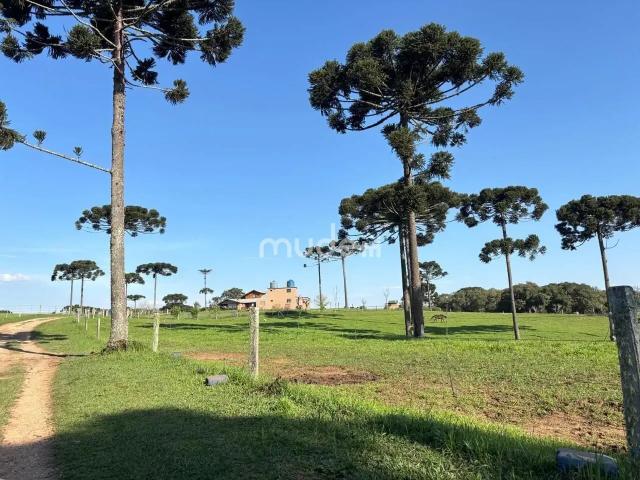Fazenda venda em Região Geográfica Imediata de Curitiba, Região Metropolitana de Curitiba