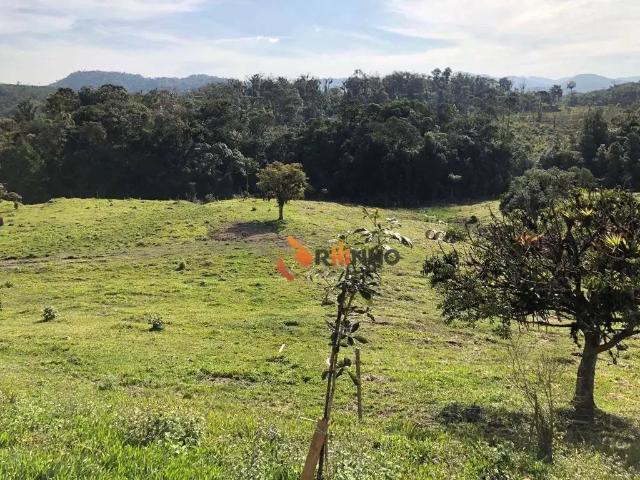 Fazenda venda em Região Geográfica Imediata de Curitiba, Região Metropolitana de Curitiba