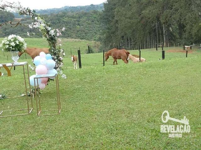Fazenda venda em Região Geográfica Imediata de Curitiba, Região Metropolitana de Curitiba
