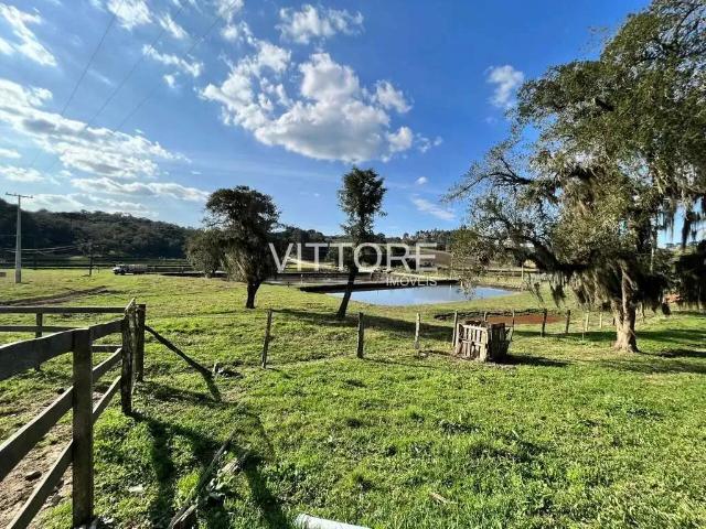 Fazenda venda em Região Geográfica Imediata de Curitiba, Região Metropolitana de Curitiba