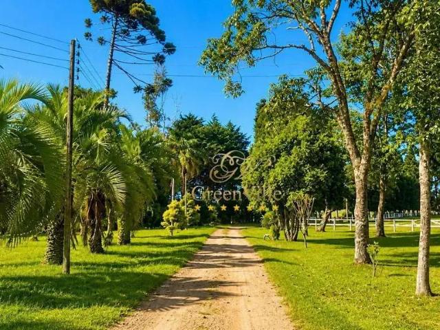 Fazenda venda em Região Geográfica Imediata de Curitiba, Região Metropolitana de Curitiba
