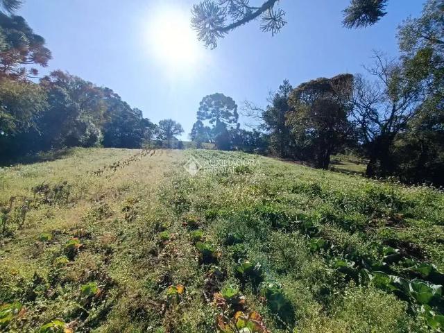 Fazenda venda em Região Geográfica Imediata de Curitiba, Região Metropolitana de Curitiba