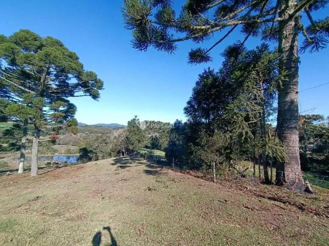 Fazenda venda em Região Geográfica Imediata de Curitiba, Região Metropolitana de Curitiba