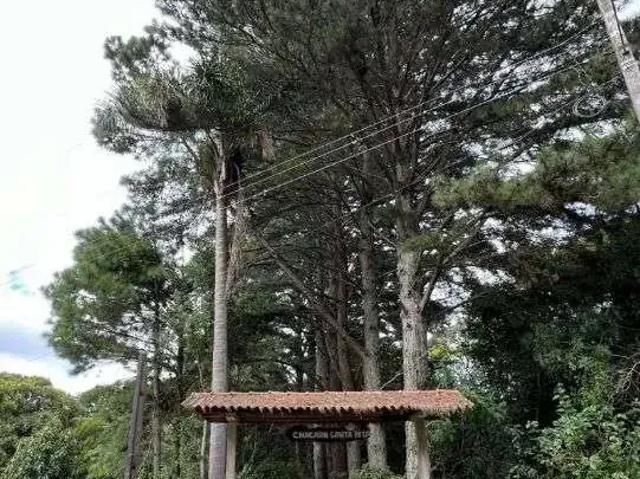 Fazenda venda em Região Geográfica Imediata de Curitiba, Região Metropolitana de Curitiba