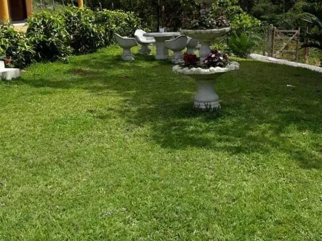 Fazenda venda em Região Geográfica Imediata do Recife, Região Metropolitana do Recife