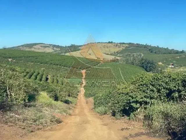 Fazenda venda em Região Geográfica Imediata de São Lourenço, São Lourenço