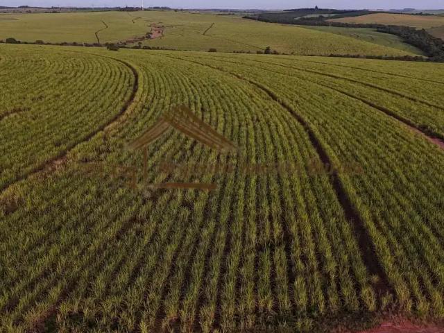 Fazenda venda em Região Imediata de Botucatu, São Manuel