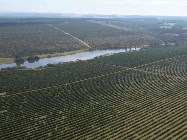 Fazenda venda em Região Imediata de Botucatu, São Manuel
