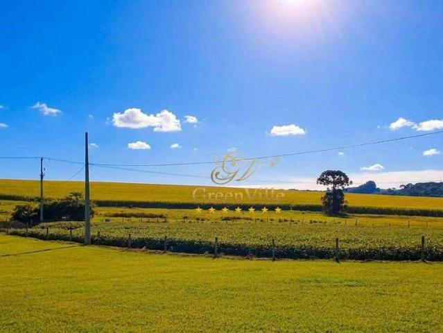 Fazenda venda em São Mateus do Sul, Região Geográfica Intermediária de Curitiba