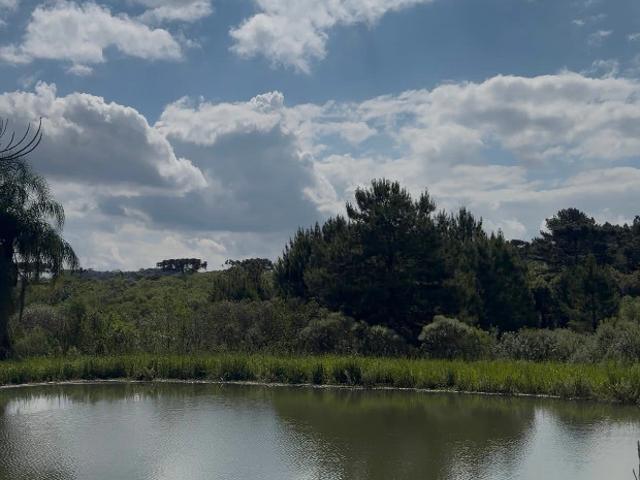Fazenda venda em São Mateus do Sul, Região Geográfica Intermediária de Curitiba
