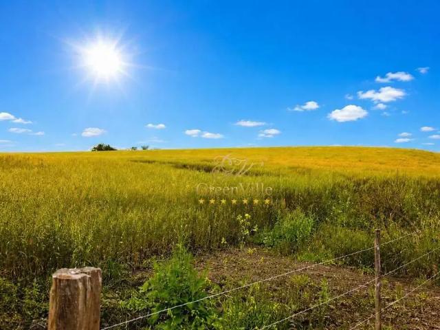 Fazenda venda em Região Geográfica Imediata de União da Vitória, São Mateus do Sul