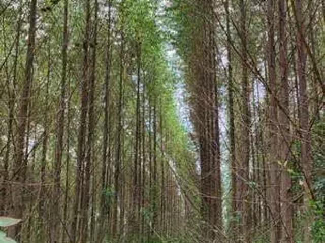 Fazenda venda em Região Imediata de Itapetininga, Região Metropolitana de Sorocaba