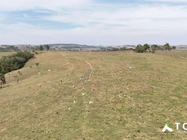Fazenda venda em Região Imediata de Itapetininga, Região Metropolitana de Sorocaba