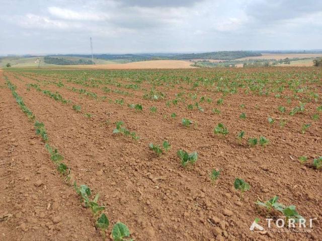 Fazenda venda em Região Imediata de Santos, Região Metropolitana da Baixada Santista