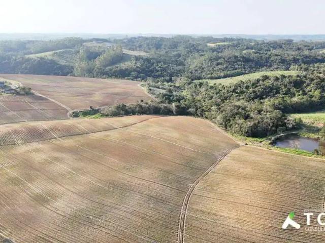 Fazenda venda em Região Imediata de Itapetininga, Região Metropolitana de Sorocaba