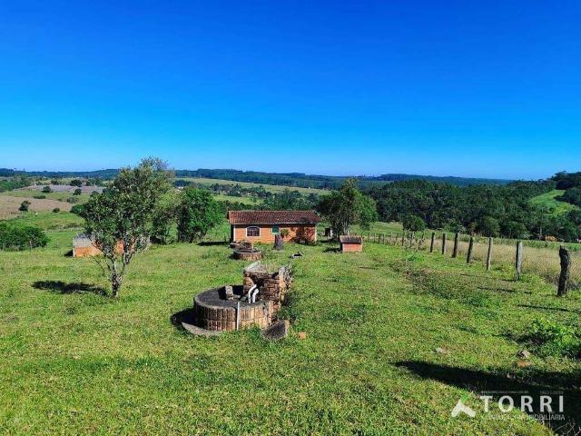 Fazenda venda em Região Imediata de Itapetininga, Região Metropolitana de Sorocaba