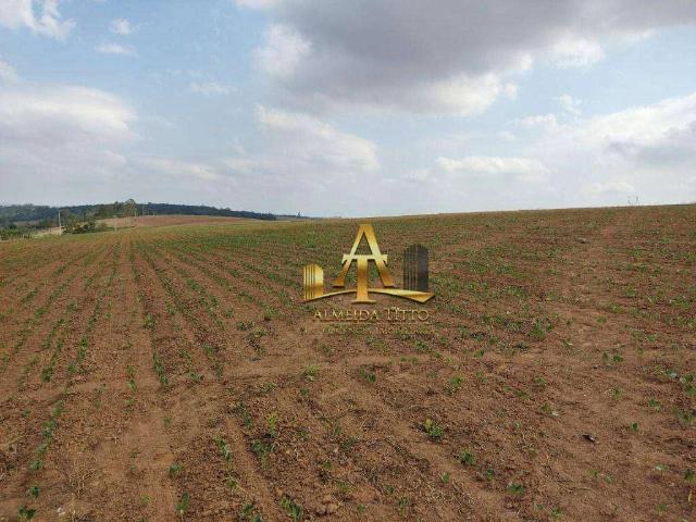 Fazenda venda em Gramadinho, Itapetininga