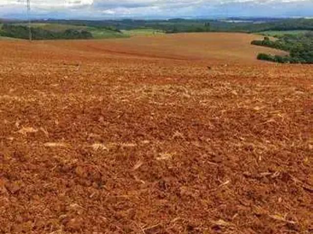 Fazenda venda em São Miguel Arcanjo