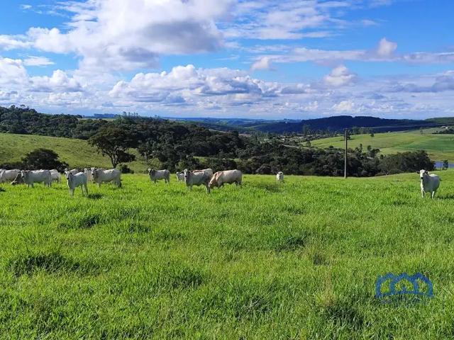 Fazenda venda em Região Imediata de Itapetininga, Região Metropolitana de Sorocaba