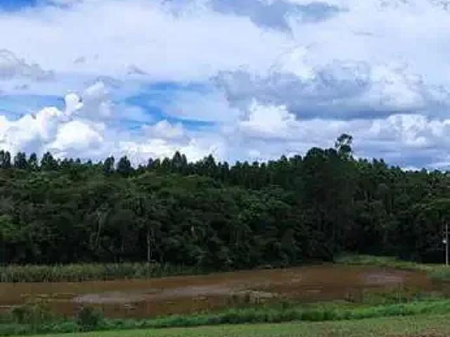 Fazenda venda em Região Imediata de Itapetininga, Região Metropolitana de Sorocaba