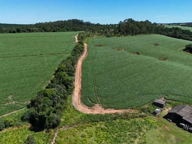 Fazenda venda em Região Imediata de Itapetininga, Região Metropolitana de Sorocaba