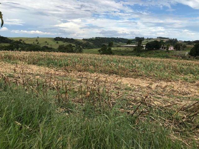 Fazenda venda em Região Imediata de Itapetininga, Região Metropolitana de Sorocaba