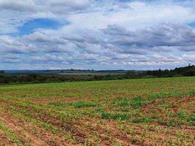Fazenda venda em Região Imediata de Itapetininga, Região Metropolitana de Sorocaba