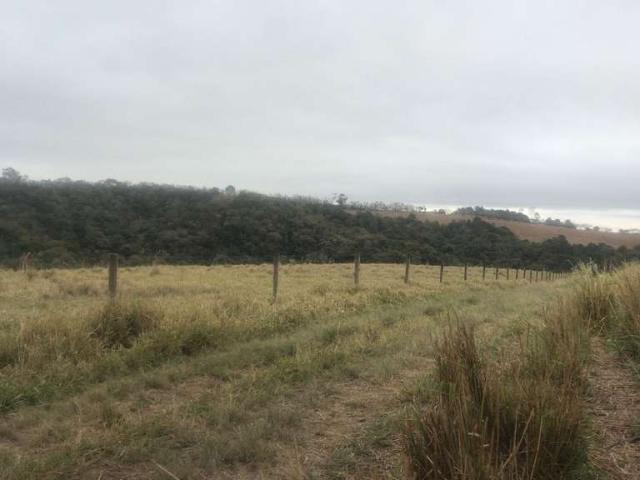 Fazenda venda em Região Imediata de Itapetininga, Região Metropolitana de Sorocaba