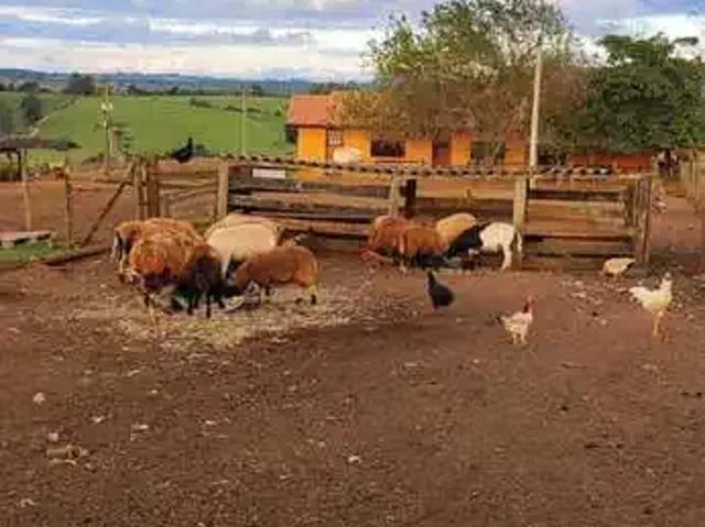 Fazenda venda em Região Imediata de Itapetininga, Região Metropolitana de Sorocaba