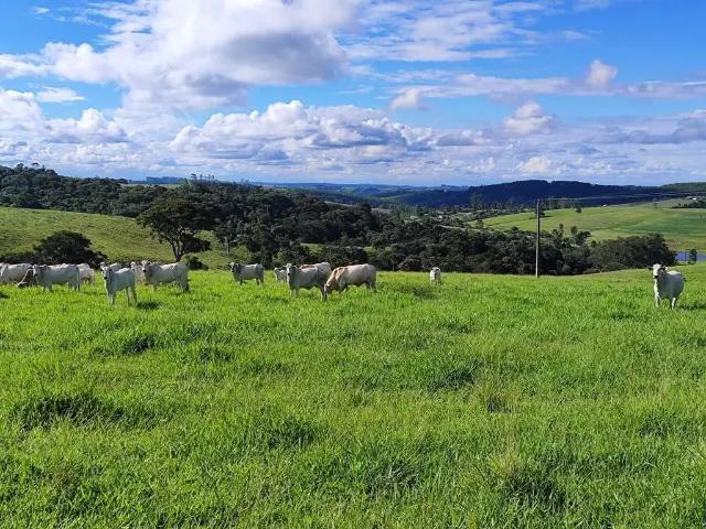 Fazenda venda em Região Imediata de Itapetininga, Região Metropolitana de Sorocaba