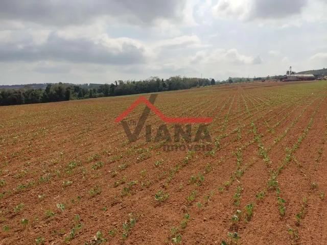 Fazenda venda em Região Imediata de Itapetininga, Região Metropolitana de Sorocaba