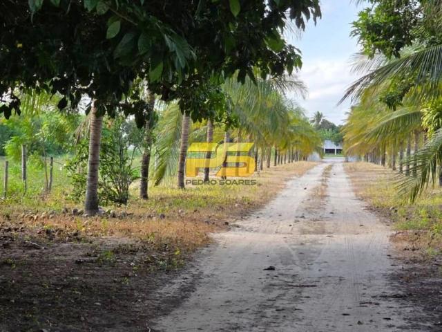 Fazenda venda em São Miguel de Taipu