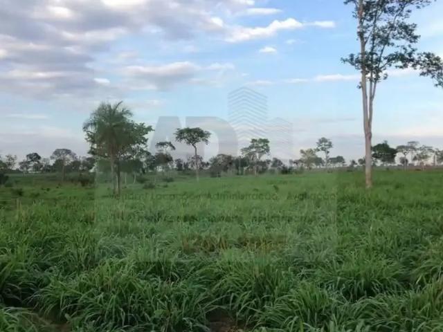 Fazenda venda em Região Geográfica Imediata de Porangatu, São Miguel do Araguaia