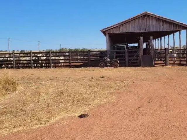 Fazenda venda em Região Geográfica Imediata de Porangatu, São Miguel do Araguaia