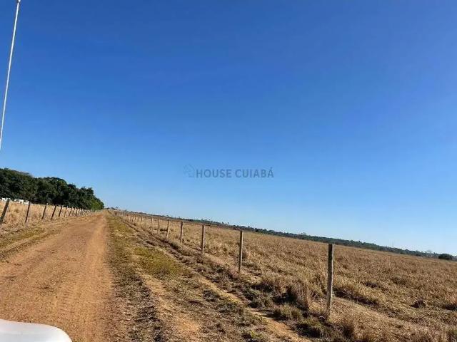 Fazenda venda em Região Geográfica Imediata de Porangatu, São Miguel do Araguaia