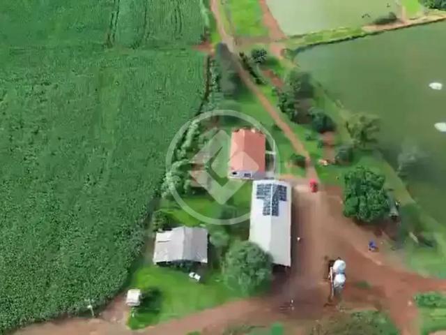 Fazenda venda em São Miguel do Iguaçu, Região Geográfica Intermediária de Cascavel