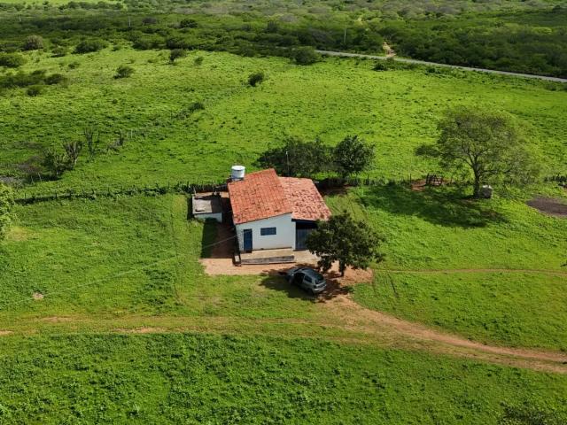Fazenda venda em São Paulo do Potengi, Região Nordeste